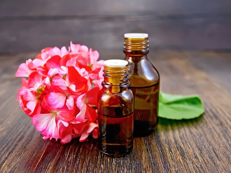 geranium essential oil bottles and flower