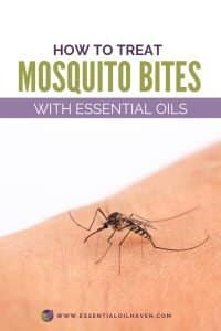 How to treat mosquito bites with essential oils