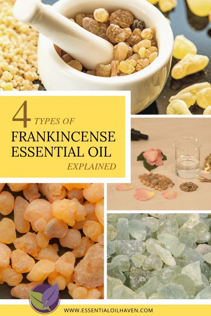 Frankincense Essential Oil Varieties