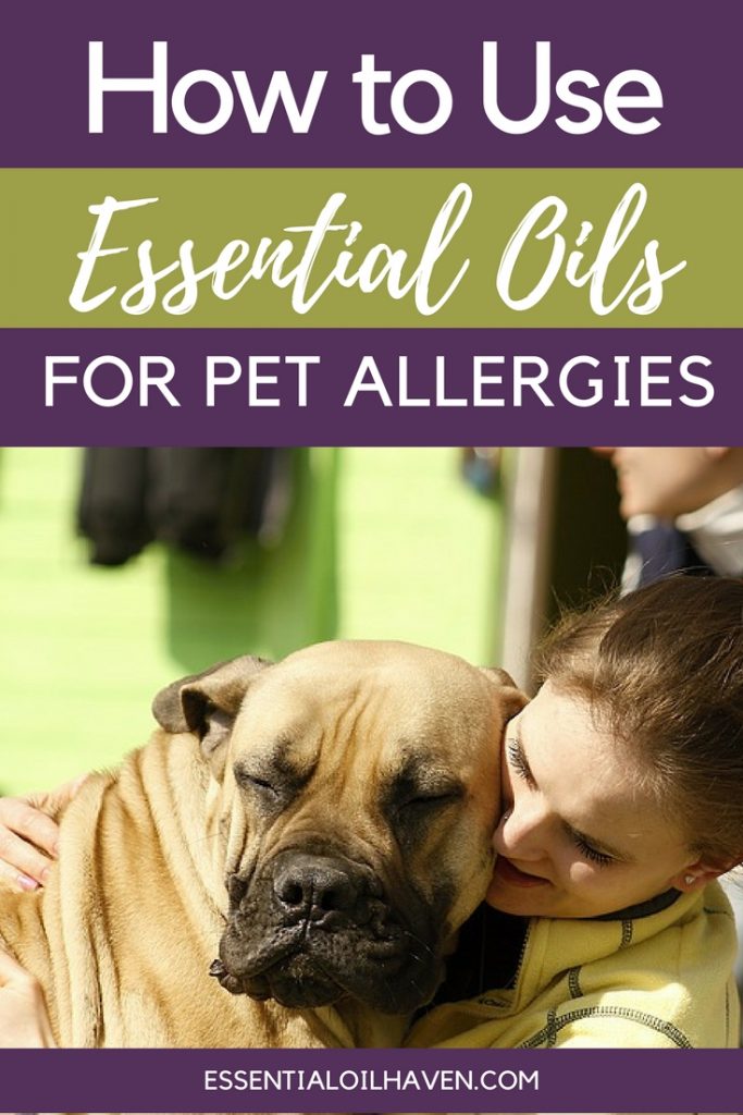 how to use essential oils for pet allergies