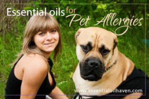 Essential oils for pet allergies