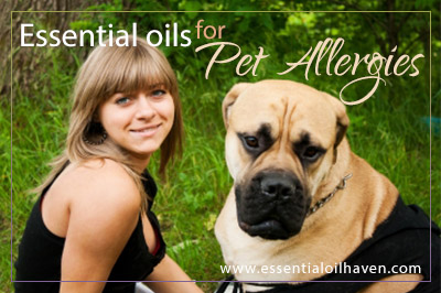 How to use essential oils to help with pet allergies