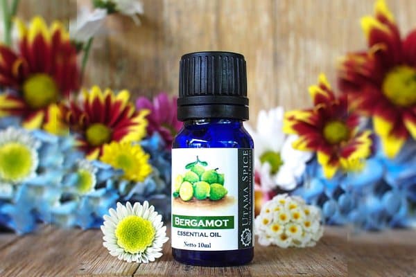 bergamot essential oil