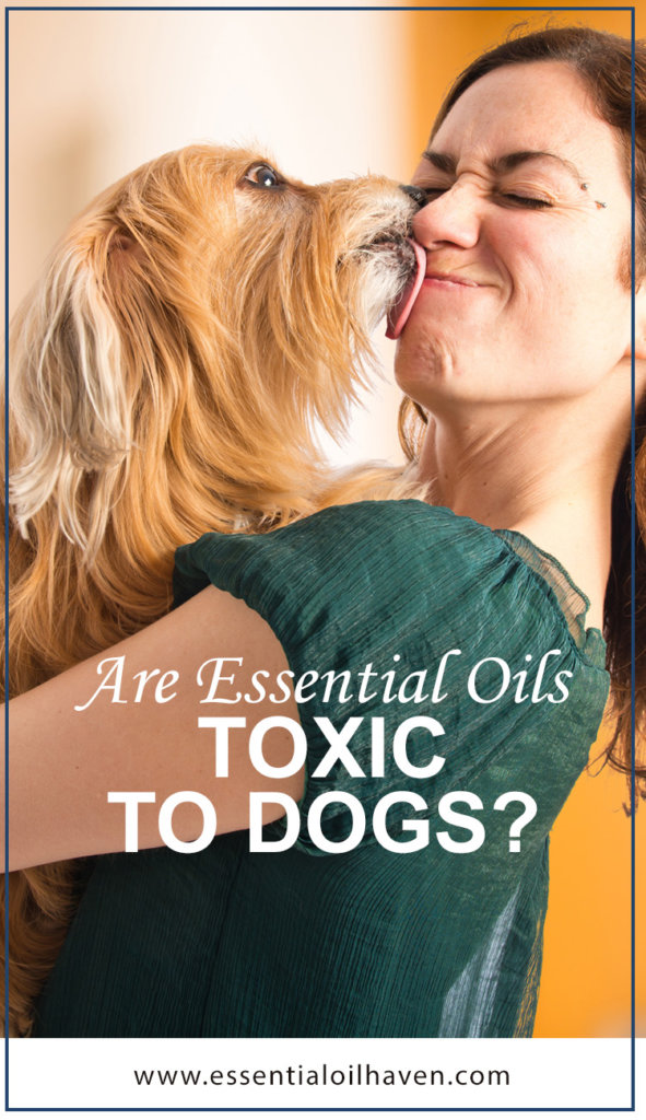 essential oils toxicity for dogs