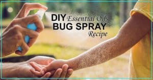 essential oils bug spray recipe