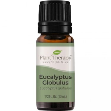 eucalyptus globulus essential oil