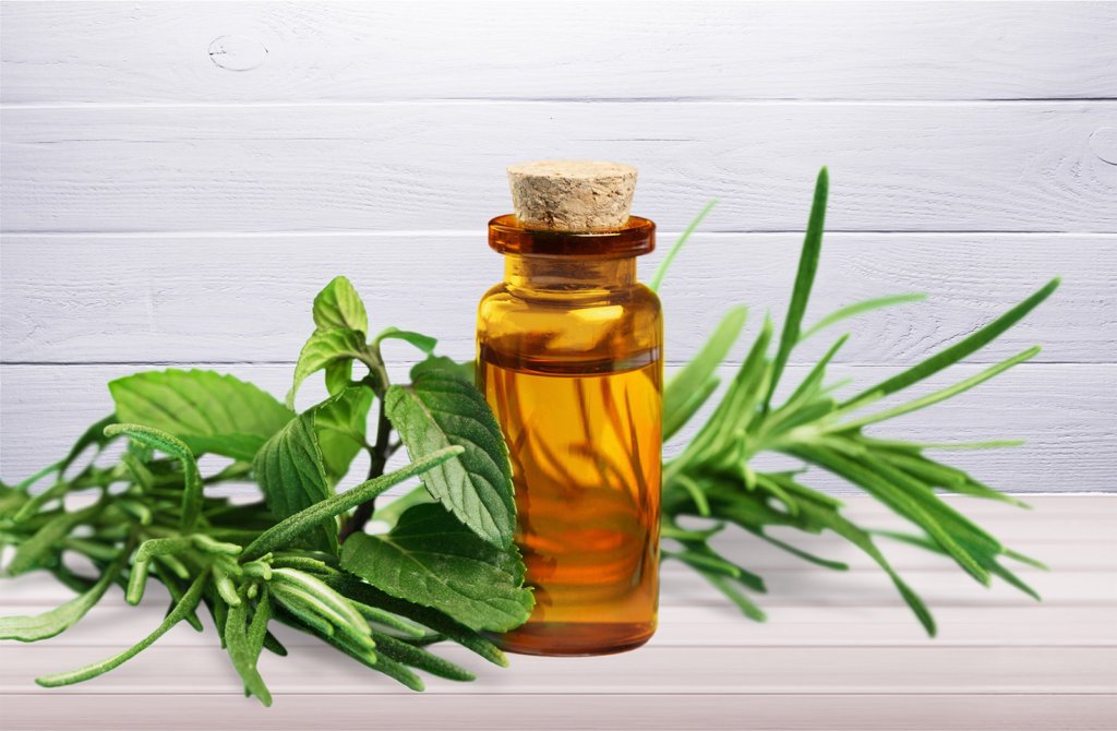 tea tree essential oil