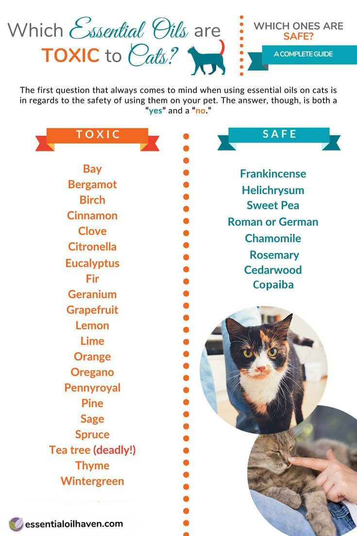 list of essential oils safe for cats
