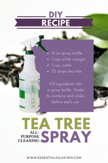 tea tree all purpose cleaning spray recipe