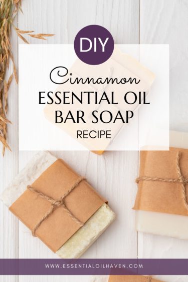 cinnamon soap recipe