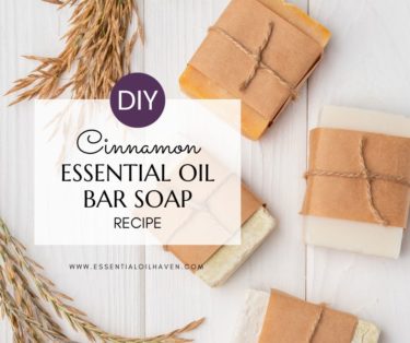 cinnamon soap bar recipe