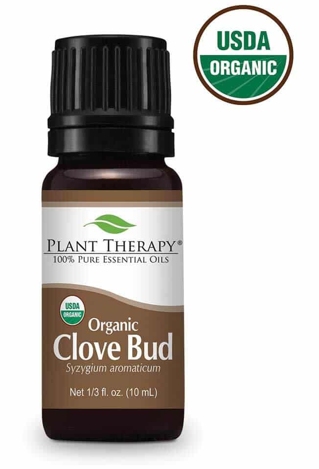 Clove Bud Essential Oil from Plant Therapy