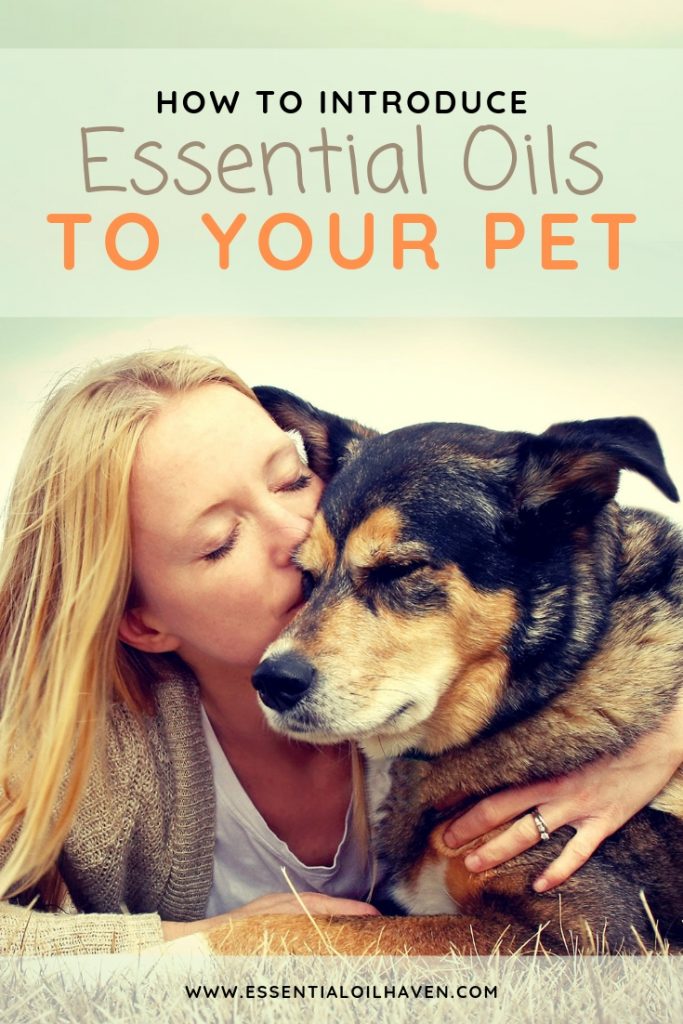 Essential Oils for Pets