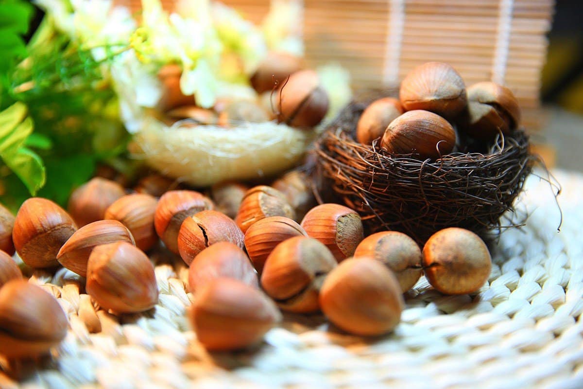 hazelnuts on table