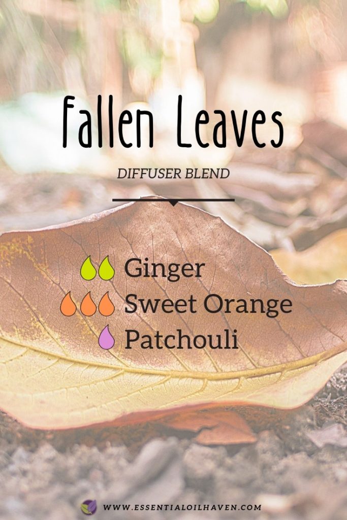 fall diffuser blend fallen leaves