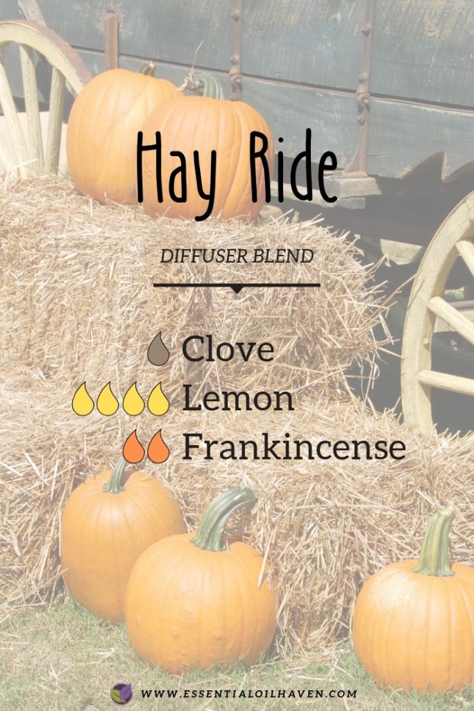 fall diffuser blend hay ride