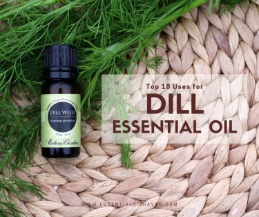 top 10 dill essential oil benefits