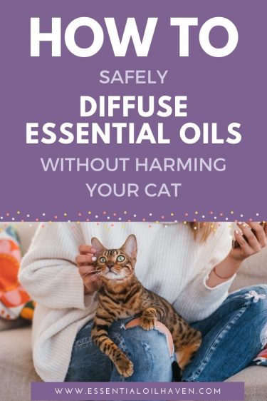 how to safely diffuse around cats