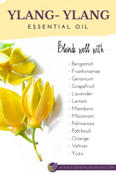 how to blend ylang ylang essential oil