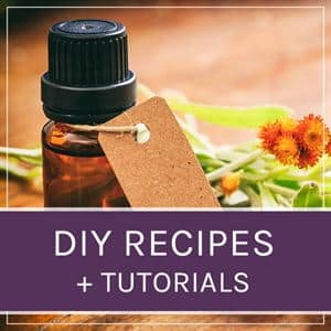 recipes and tutorials