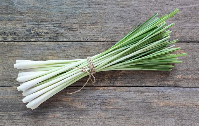 Lemongrass stalks