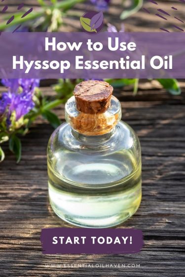 hyssop essential oil uses