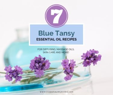 blue tansy essential oil recipes
