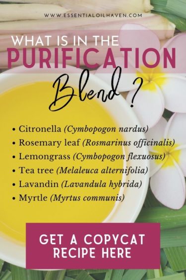 young living purification oil blend ingredients