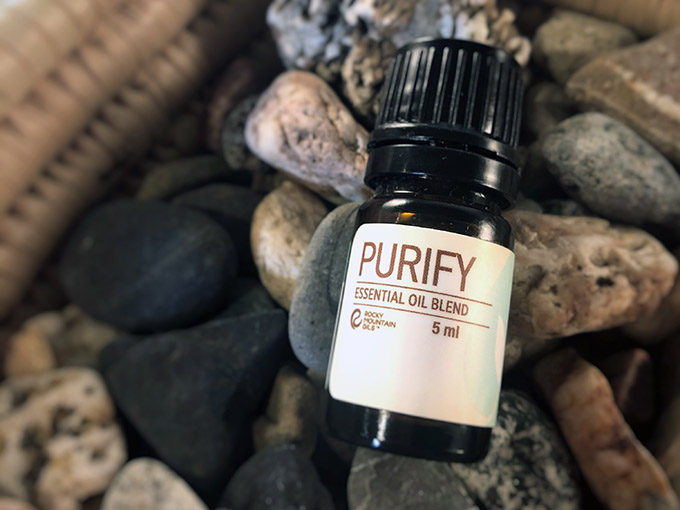 purify blend