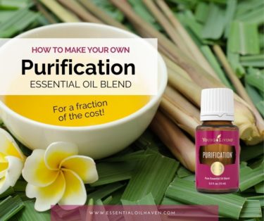 yl purification copycat recipe