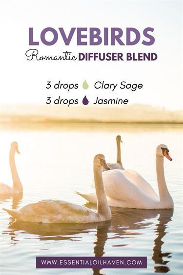 lovebirds romantic diffuser blend