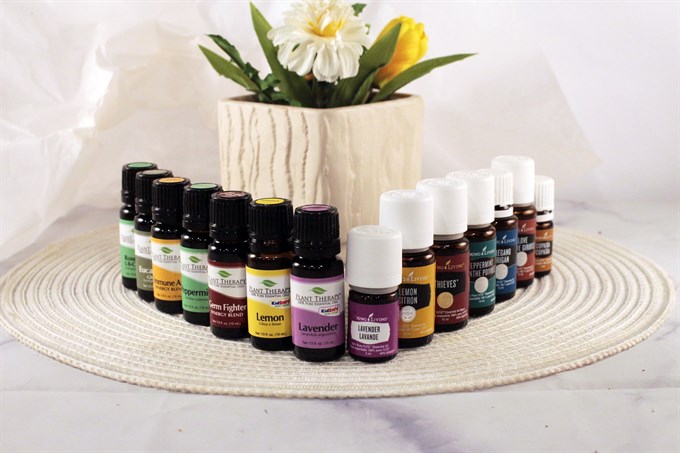 young living and plant therapy oils compared