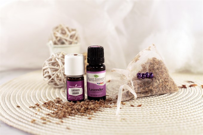 plant therapy vs young living lavender essential oil