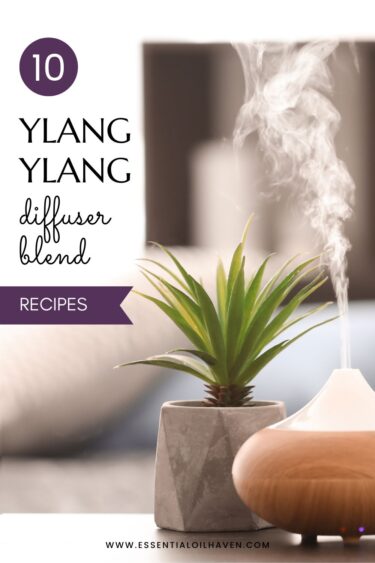 ylang ylang blends essential oils