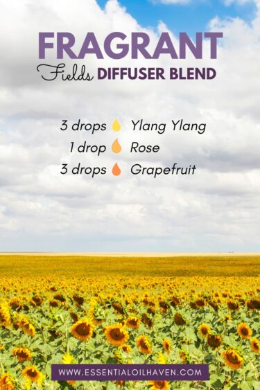 fragrant fields essential oil diffuser blend