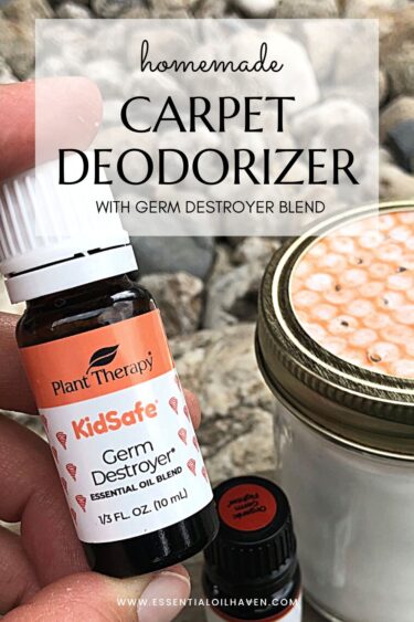 diy carpet deodorizer