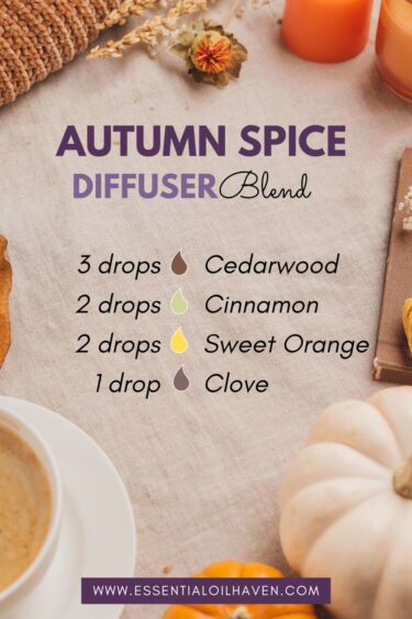 autumn spice diffuser blend