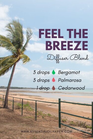 feel the breeze blend