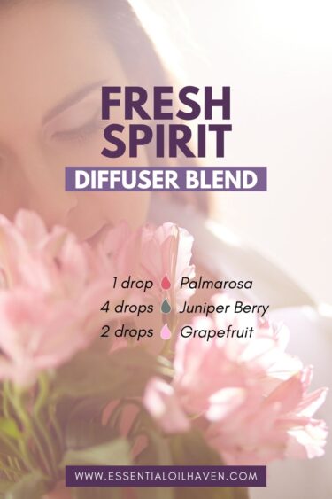 fresh spirit recipe