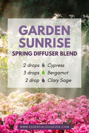 garden sunrise blend