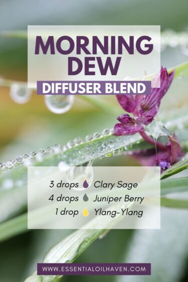 morning dew diffuser blend recipe for spring