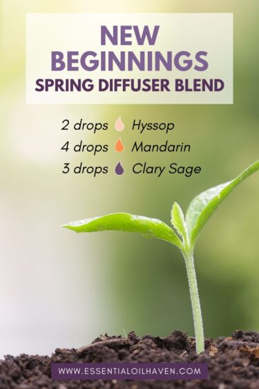 new beginnings spring diffuser blend