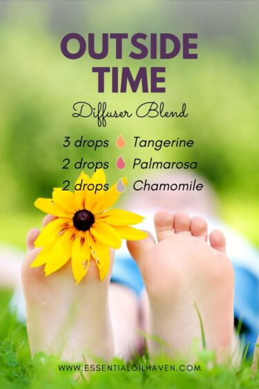 outside time diffuser blend