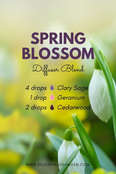 spring blossom diffuser blend