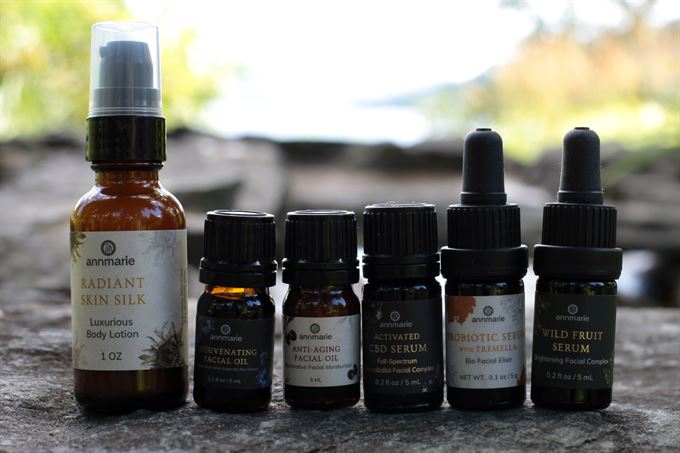 annmarie skin care products review