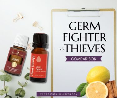 germ fighter vs thieves
